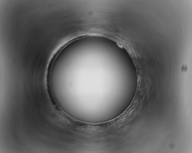 X0000103250292200808281103