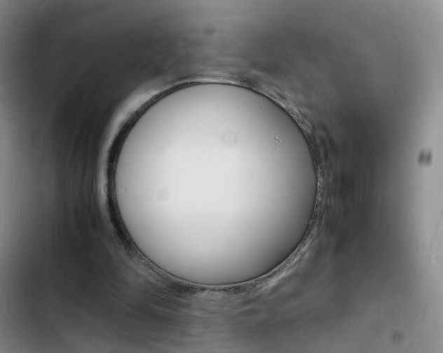 X0000103250294200808281103