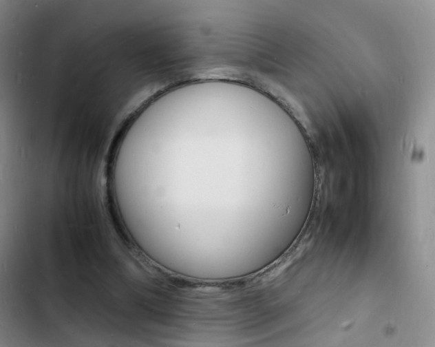 X0000103250298200808281102