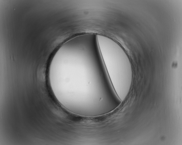 X0000103250299200808281102