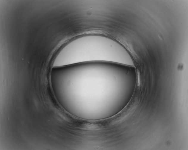X0000103250300200808281102