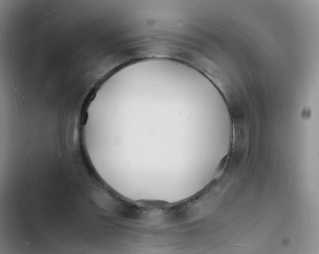 X0000103250301200808281102