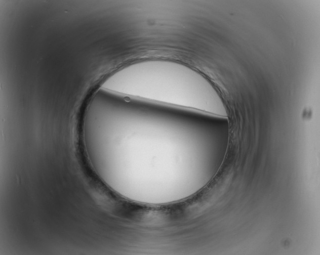 X0000103250303200808281102