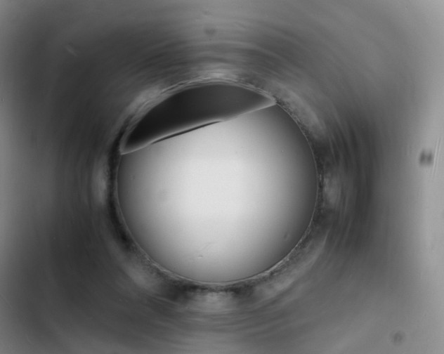 X0000103250304200808281102