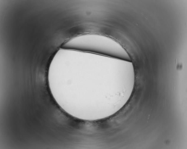 X0000103250305200808281102