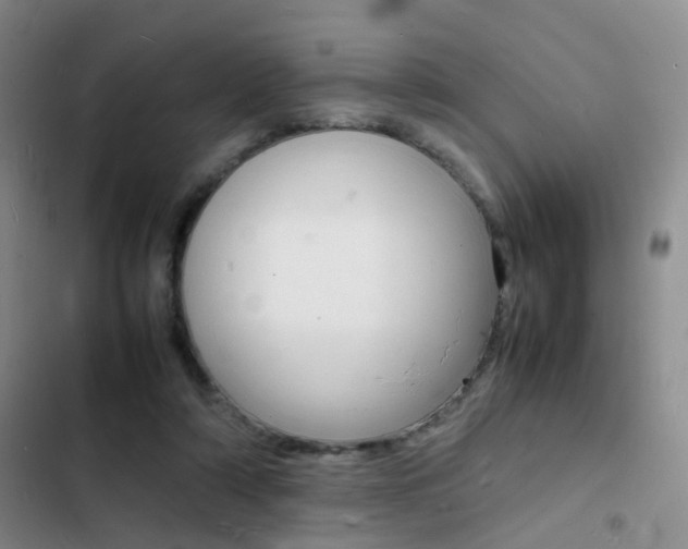 X0000103250306200808281102