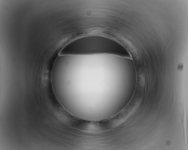 X0000103250308200808281102