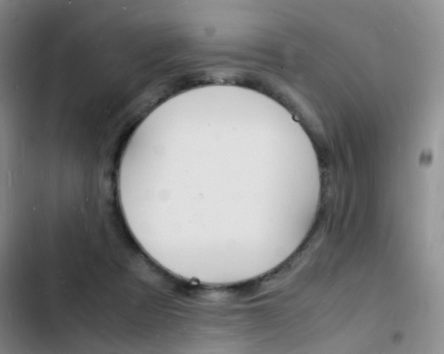 X0000103250313200808281102