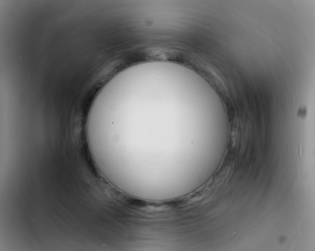 X0000103250314200808281102