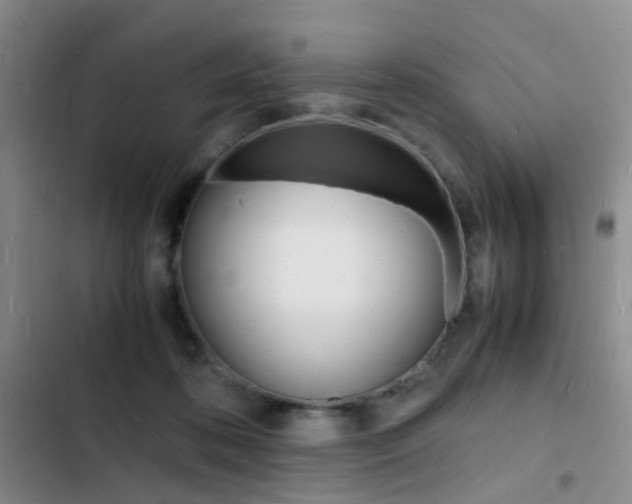 X0000103250316200808281102