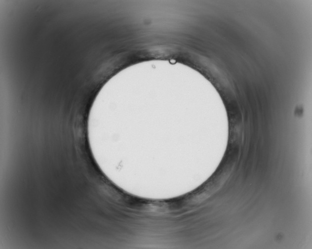 X0000103250317200808281102