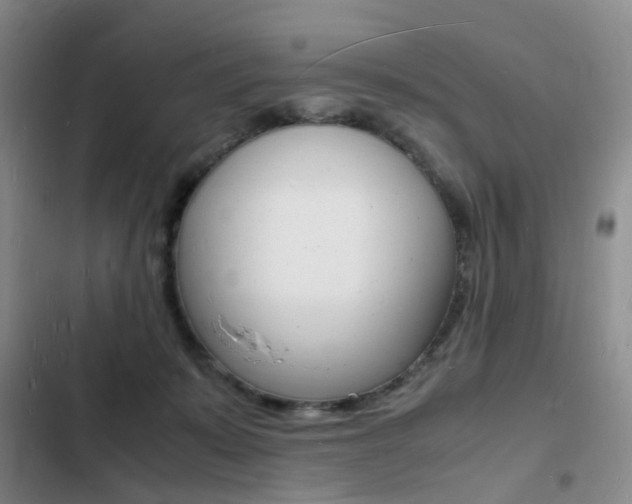 X0000103250319200808281102