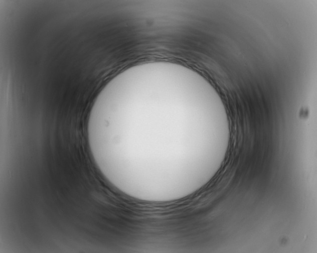 X0000103250320200808281102