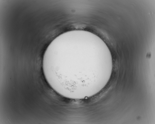 X0000103250321200808281102