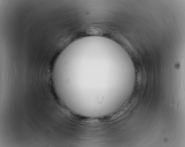 X0000103250322200808281102