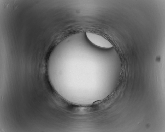 X0000103250323200808281102