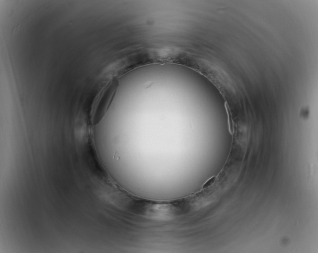 X0000103250324200808281102
