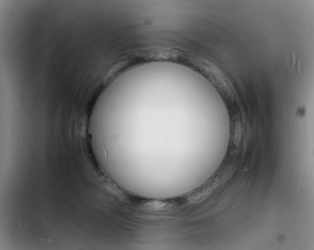 X0000103250326200808281102