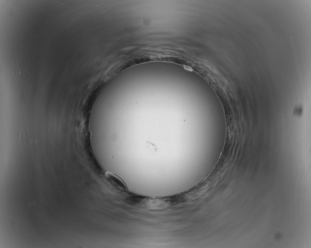 X0000103250327200808281102
