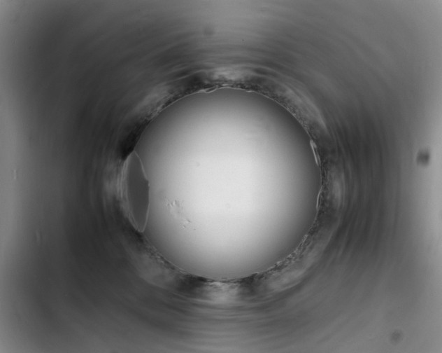 X0000103250328200808281102