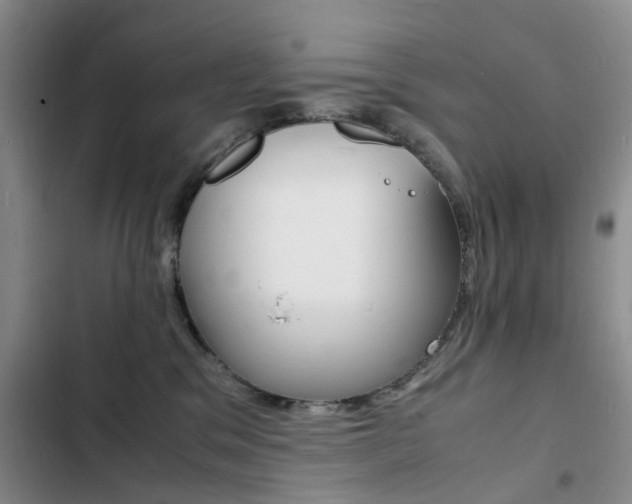 X0000103250329200808281102