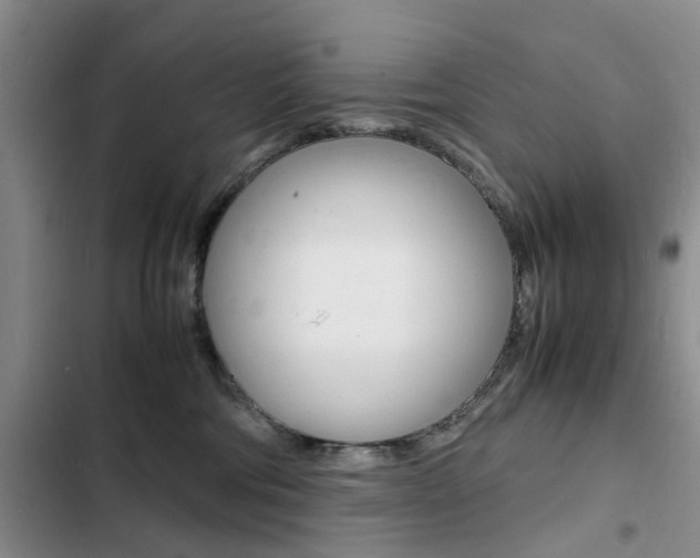 X0000103250330200808281102