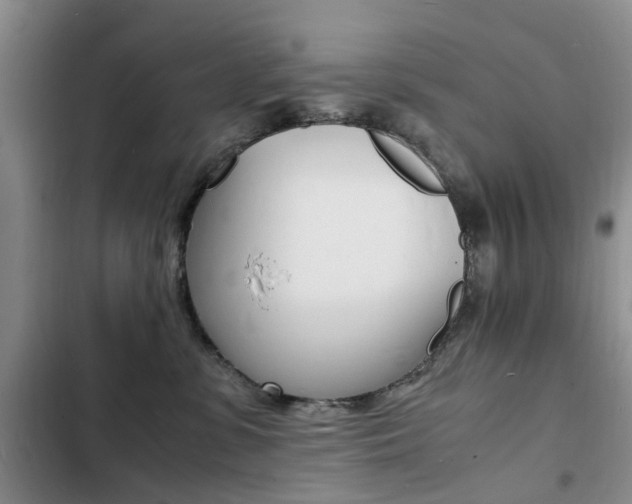 X0000103250331200808281102