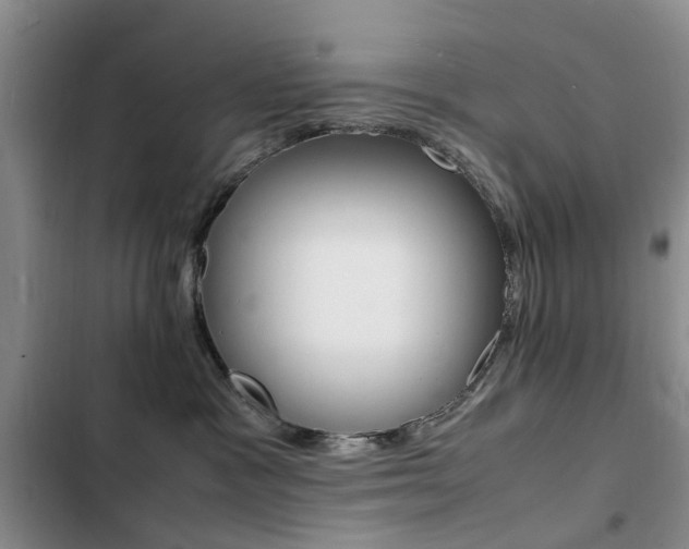 X0000103250333200808281102