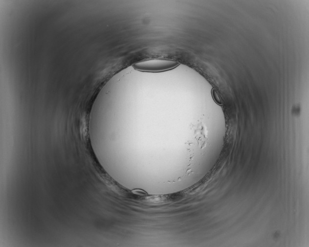 X0000103250335200808281102
