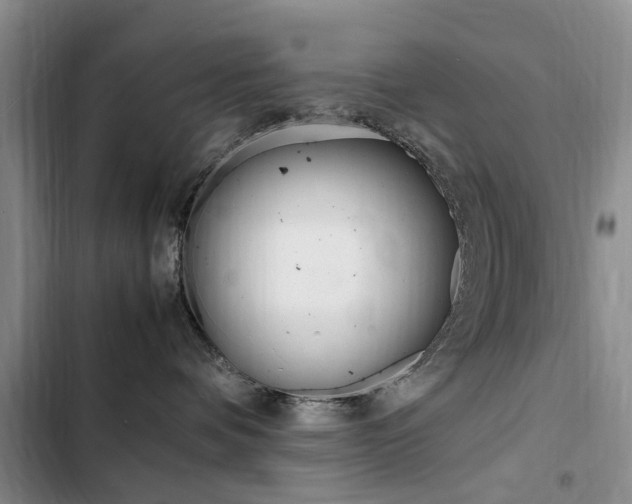 X0000103250336200808281102