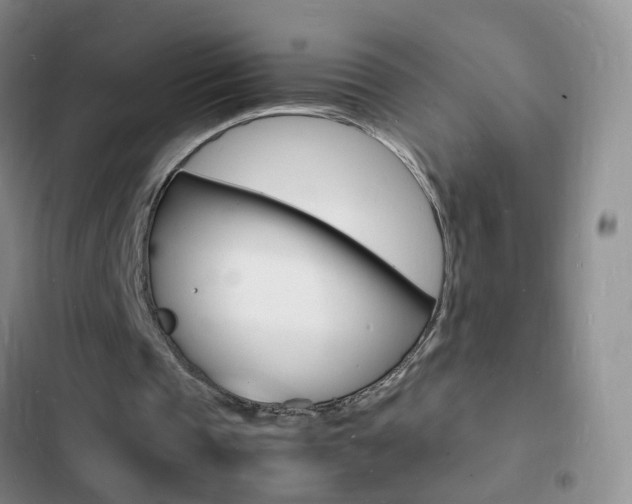 X0000103250337200808281101