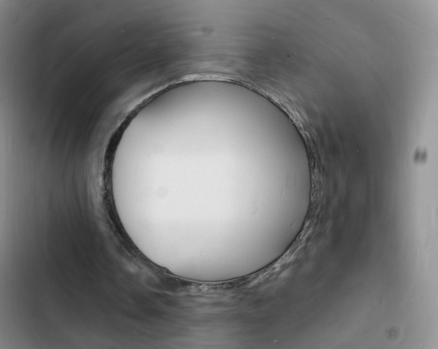 X0000103250338200808281101