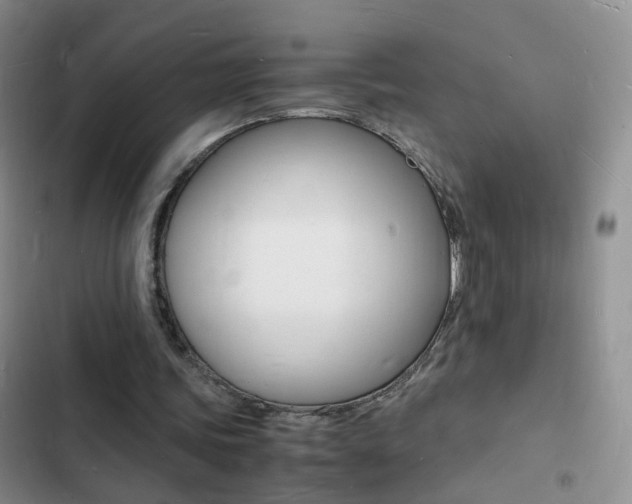 X0000103250339200808281101