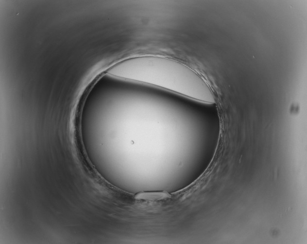 X0000103250340200808281101