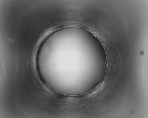 X0000103250341200808281101
