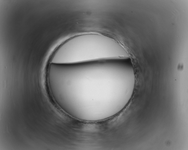 X0000103250342200808281101