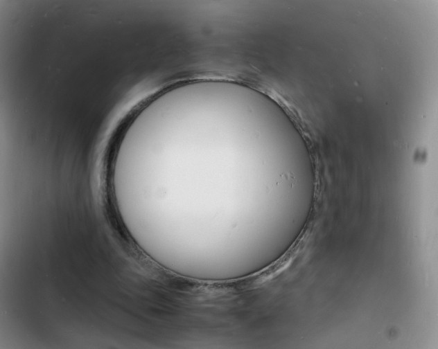 X0000103250343200808281101