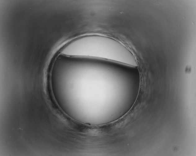 X0000103250344200808281101
