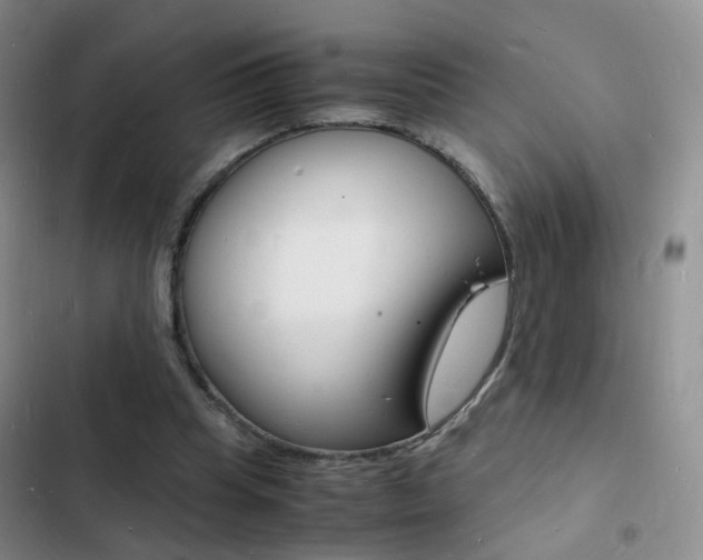 X0000103250345200808281101