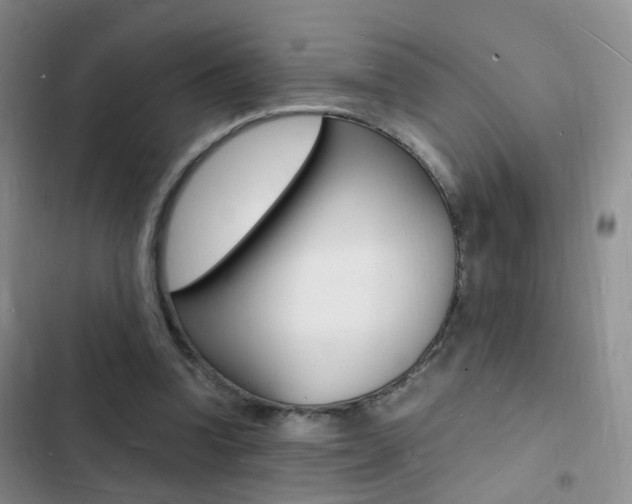 X0000103250346200808281101