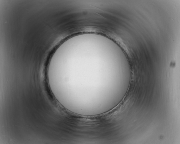 X0000103250347200808281101