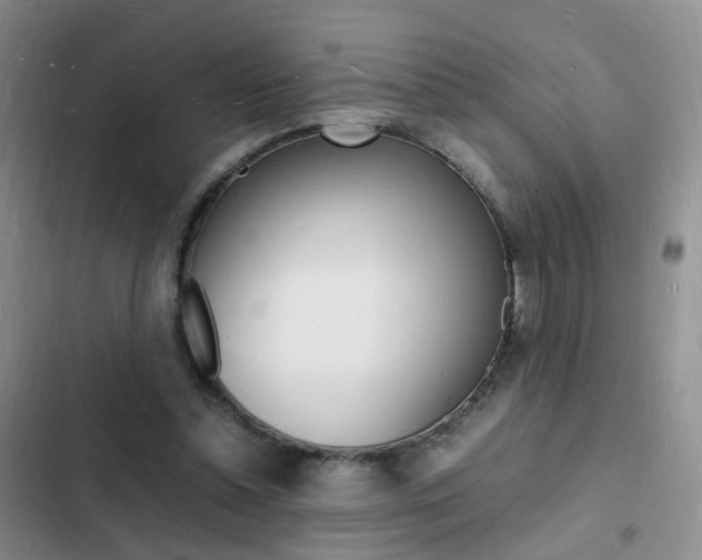 X0000103250348200808281101