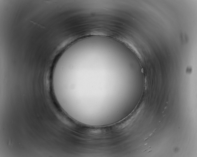 X0000103250349200808281101