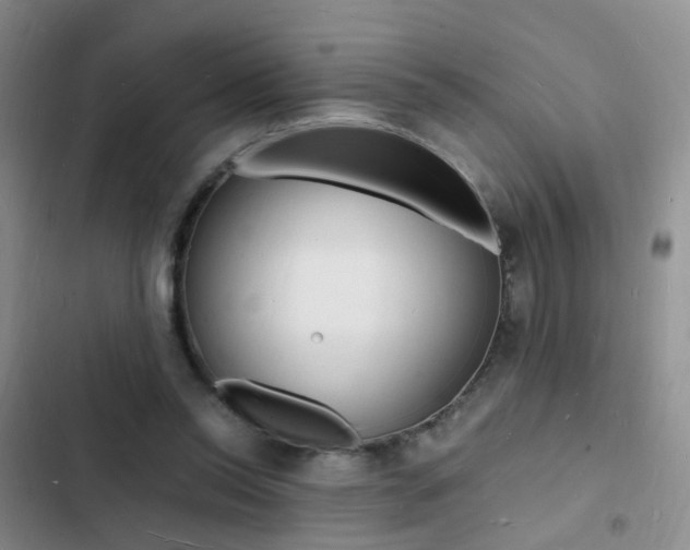 X0000103250350200808281101