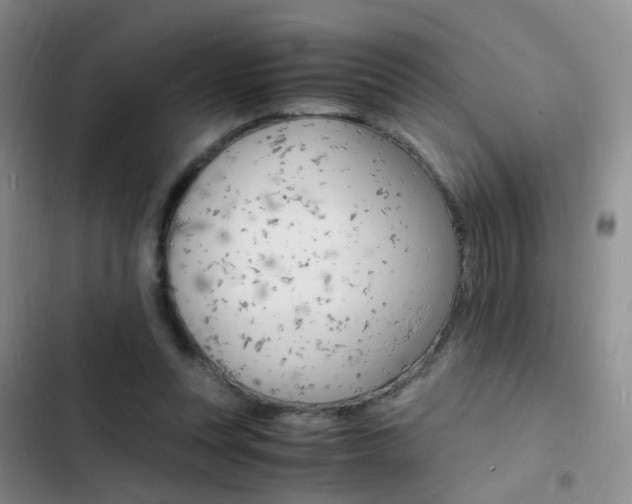 X0000103250351200808281101