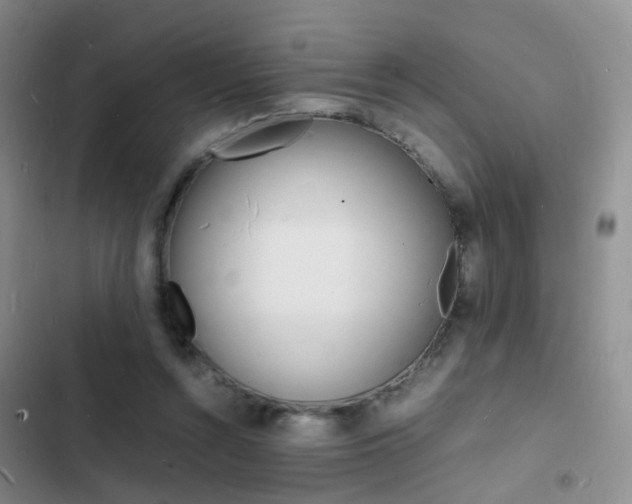 X0000103250352200808281101