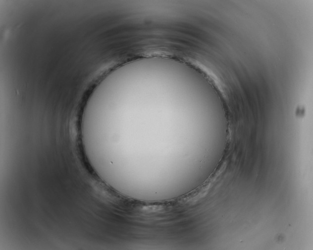 X0000103250353200808281101