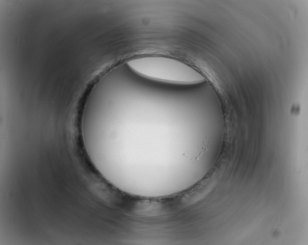 X0000103250354200808281102