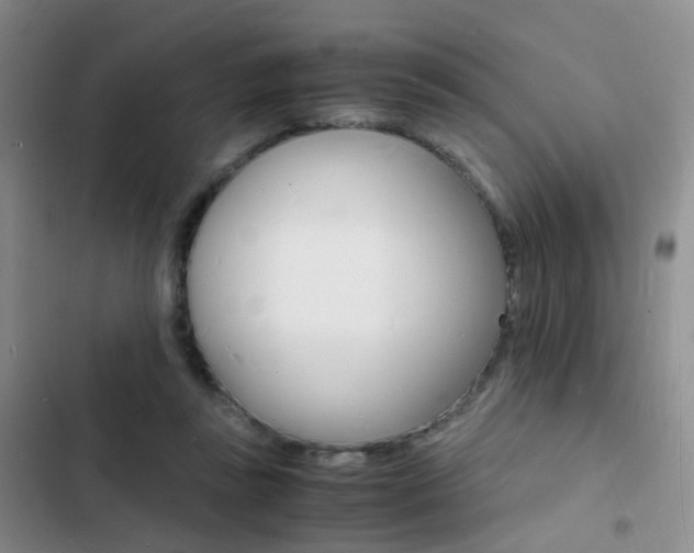 X0000103250355200808281102