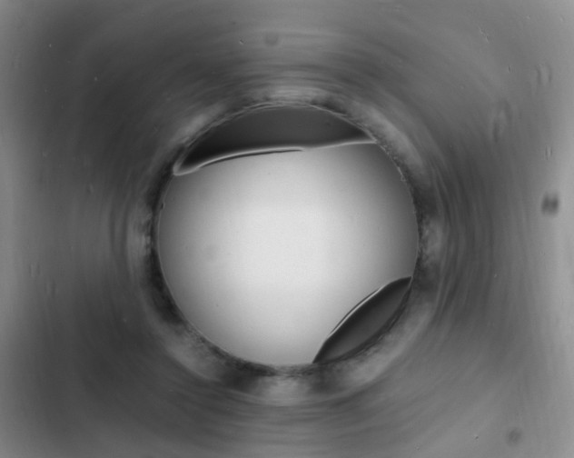 X0000103250356200808281102